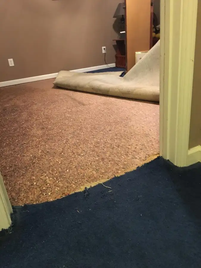 Carpet pad removal revealing water damage during Water Mitigation Services in Westville