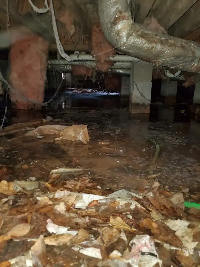 Crawl space flood assessment for Commercial Water Damage Restoration in Westville